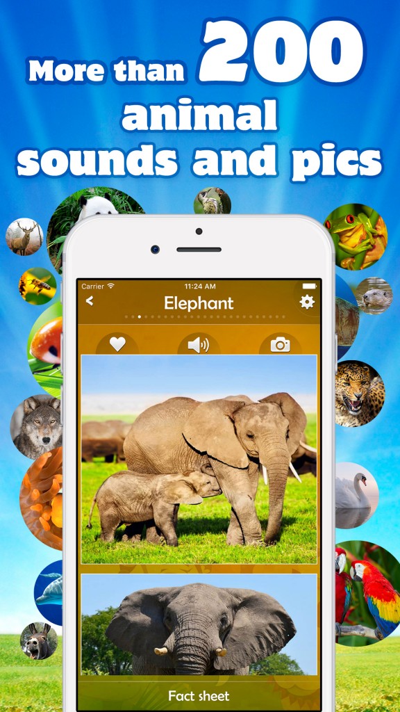 iphone6Plus-1ter Animal Sounds App