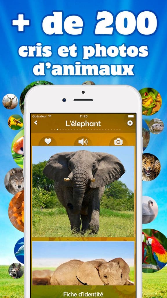 Cris d’animaux