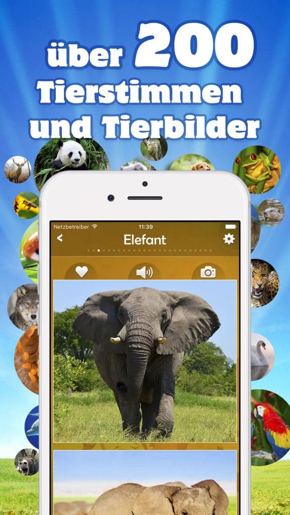 Tierstimmen: Geräusche & Bilder tier