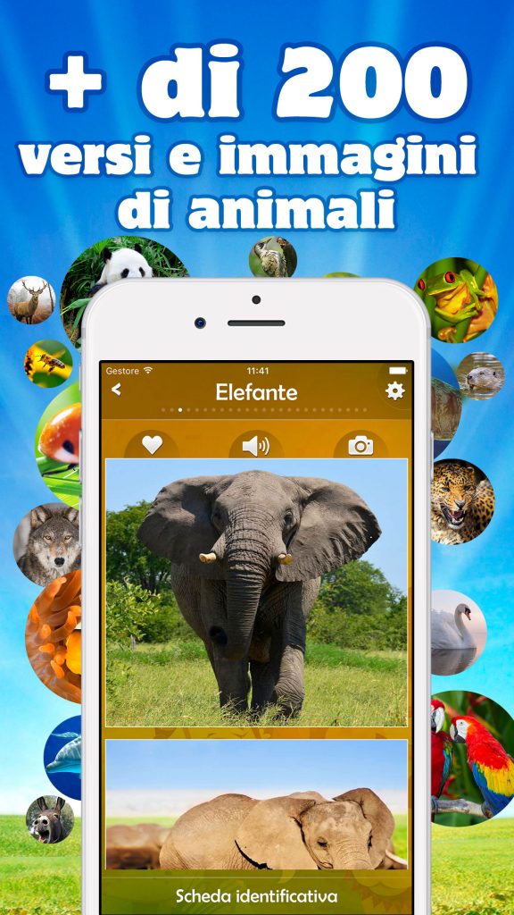 I versi degli animali I versi degli animali