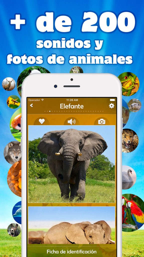 Sonidos de animales Sonidos de animales