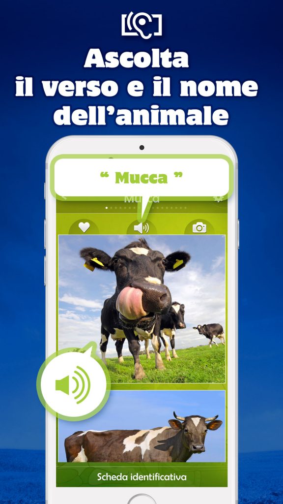 I versi degli animali I versi degli animali