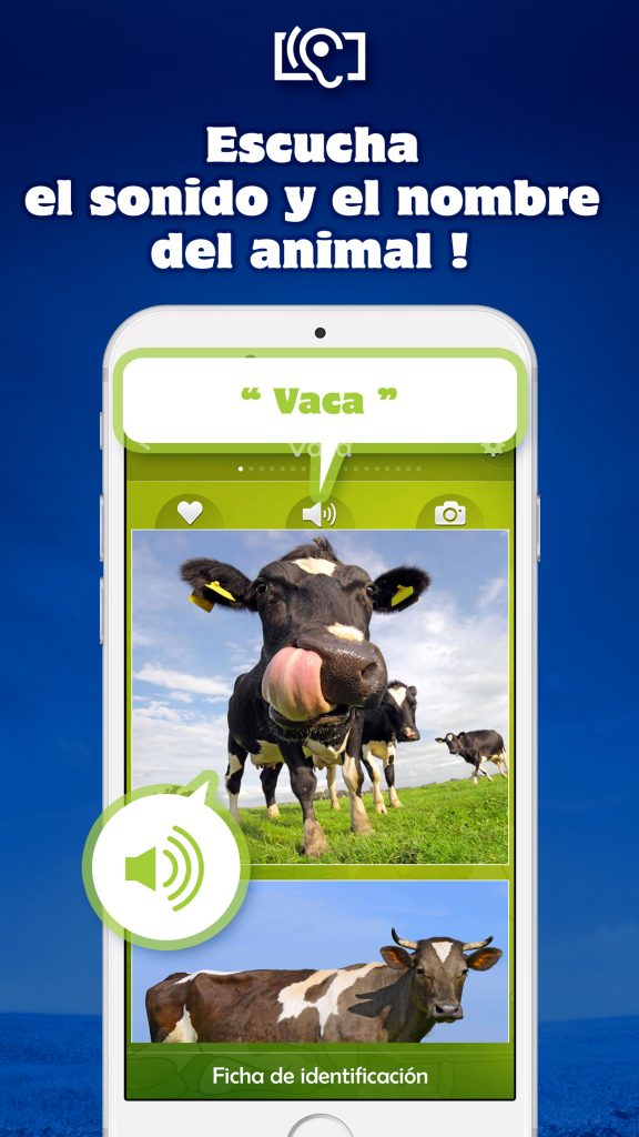 Sonidos de animales Sonidos de animales